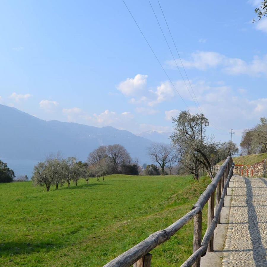 La Cascina Della Vigna Del Viandante Villa Abbadia Lariana Bagian luar foto