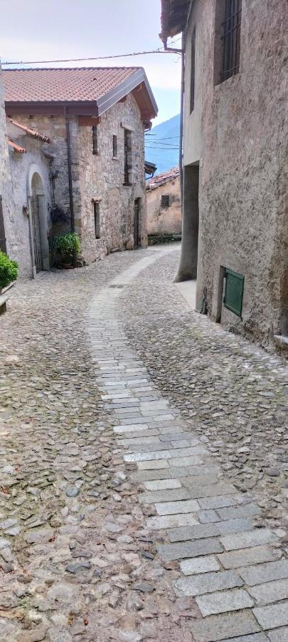La Cascina Della Vigna Del Viandante Villa Abbadia Lariana Bagian luar foto